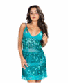 Sheer Lace and Sequin Chemise