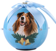 (Collie) Dog Collection Twinkling 