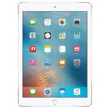 iPad 9.7 Inch