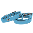 (Large) Dog Collar  Leash (Blue Bone)