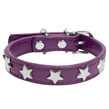Dog Collar (Purple Star)