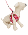 Dog Harness