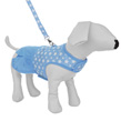 (Large) Blue Star Dress Harness with Leash