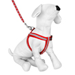 Red-Gray Braided Harness With Leas