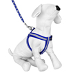 (Large) Blue-Gray Braided Harness With Leash