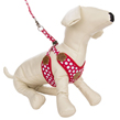 Red Polka Dot Paw Print Harness With Leash