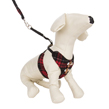 (Large) Red Plaid Harness With Lea
