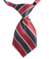 Dog Neck Ties