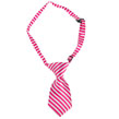 Dog Neck Tie (Pink Stripe)
