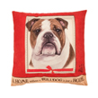 (Bulldog) Dog Collection Throw Pillow Cushion